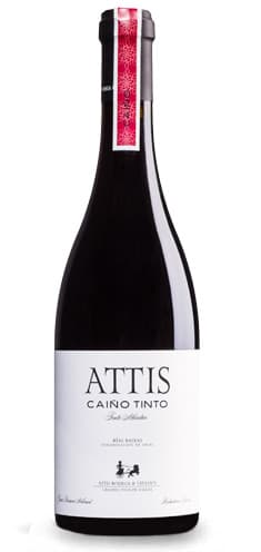 Attis Caiño Tinto – de Attis Bodegas y Viñedos – en Petit Celler