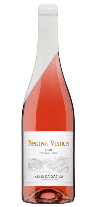 Regina Viarum Rosae de Hga – comprar