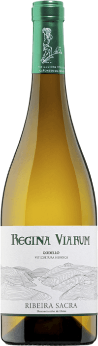 Regina Viarum Godello Magnum – de Hga – en Petit Celler