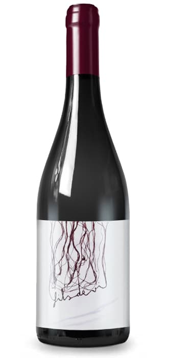 Fils De Vi – de Thunder Wine Makers – en Petit Celler