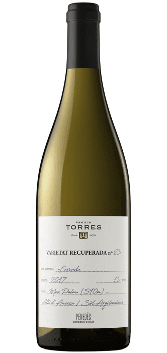 Forcada de Familia Torres – comprar