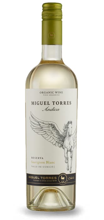 Ándica Sauvignon Blanc – de Miguel Torres Chile – en Petit Celler