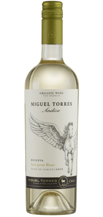 Ándica Sauvignon Blanc – de Miguel Torres Chile – en Petit Celler