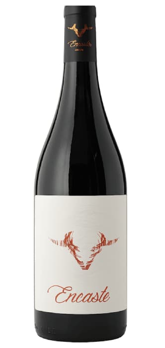 Doña Felisa Encaste – de Bodega Doña Felisa – en Petit Celler