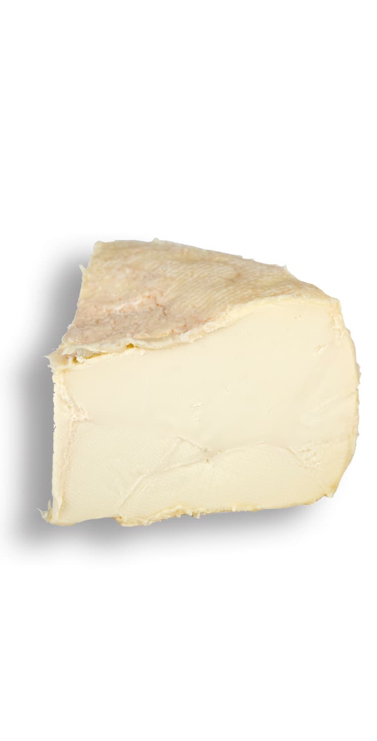 Queso Máximo de Rey Silo – de Vinoselección – en Vinoselección