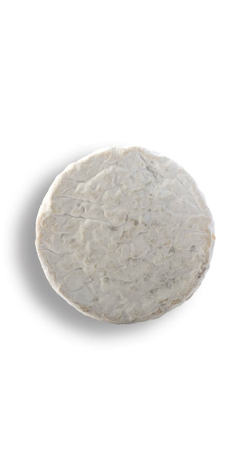 Queso Franxón de Ca Llechi – de Vinoselección – en Vinoselección