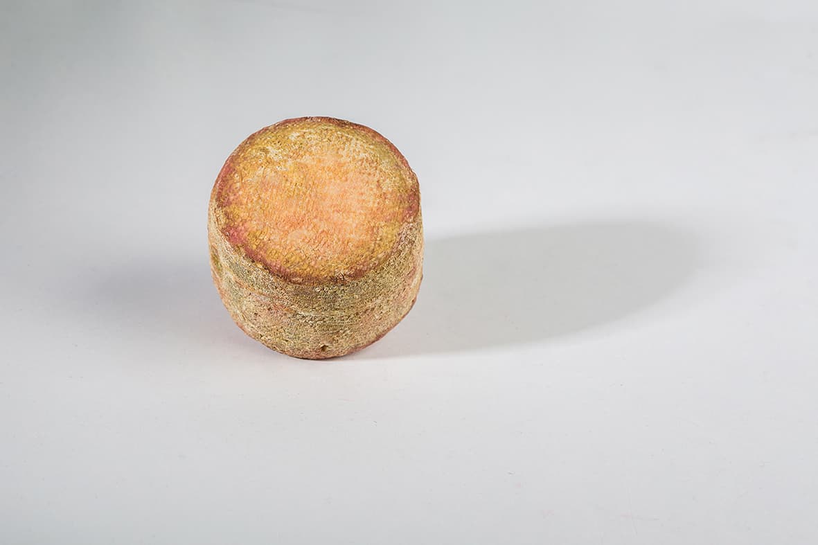 Mini Retorta de Finca Pascualete – de Vinoselección – en Vinoselección