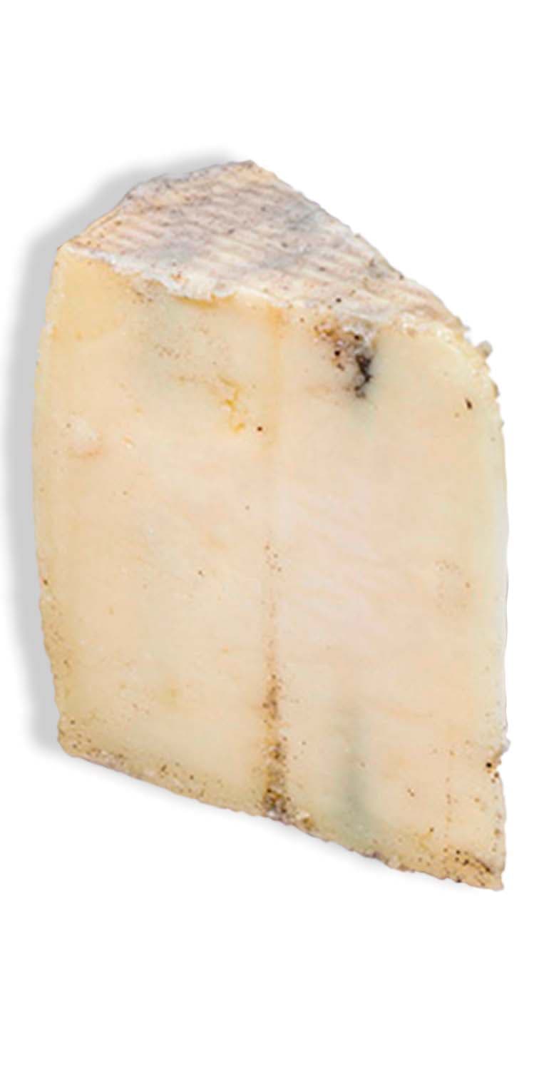 Queso curado de oveja con trufa negra El Roble de Campollano – de Vinoselección – en Vinoselección