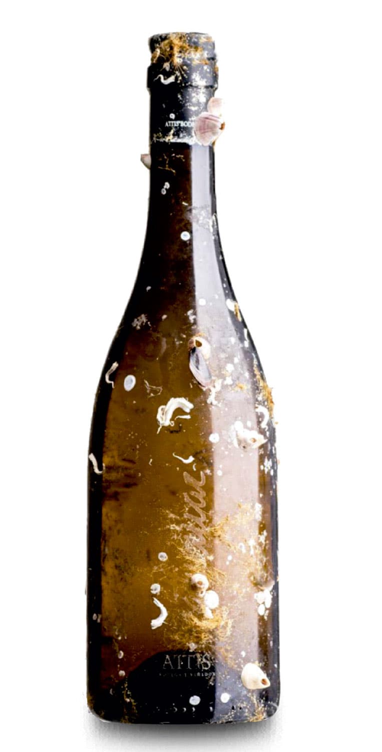 Attis Mar Albariño 2017 – de Vinoselección – en Vinoselección