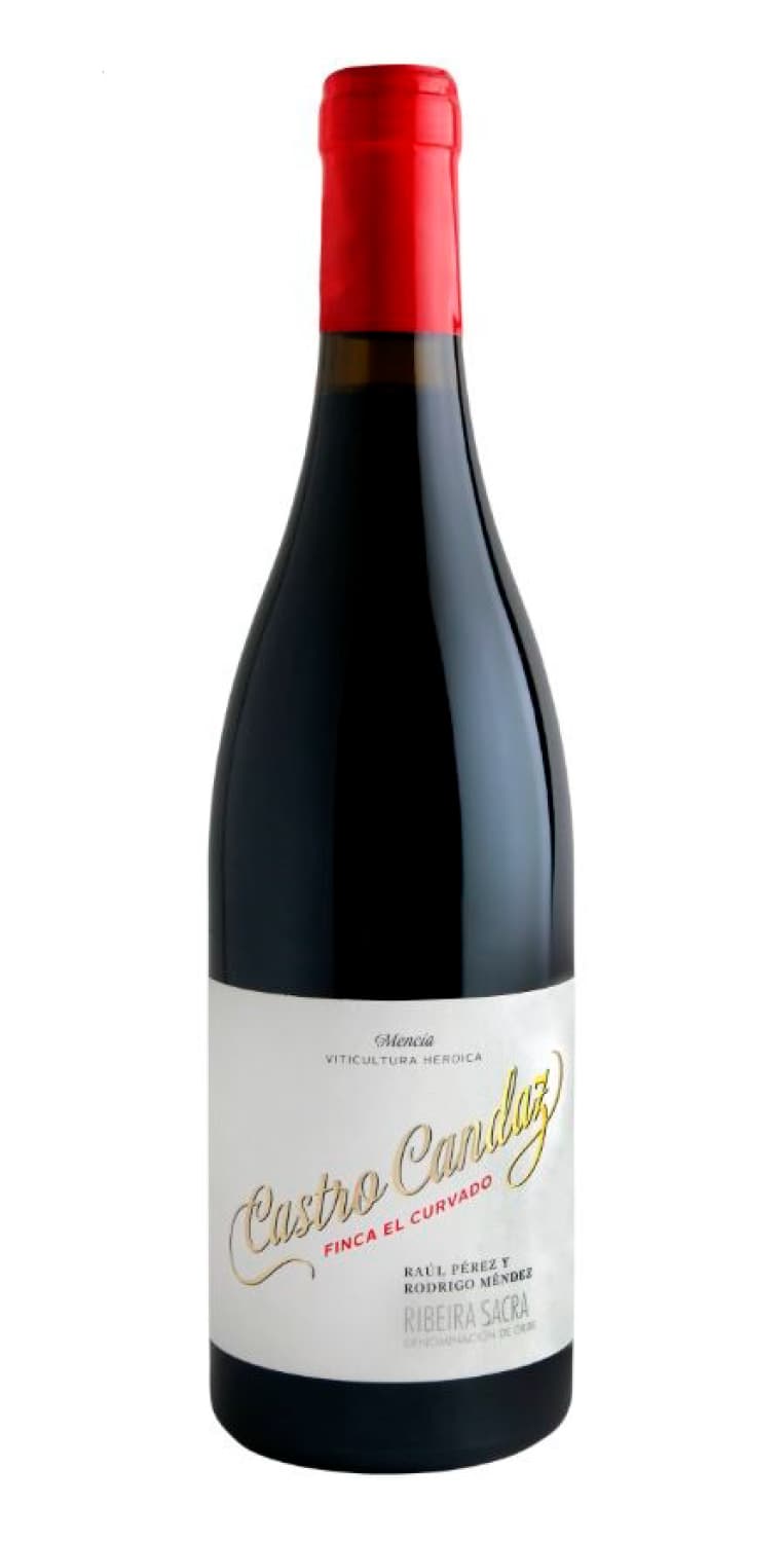 Castro Candaz Finca El Curvado 2021 – de Vinoselección – en Vinoselección