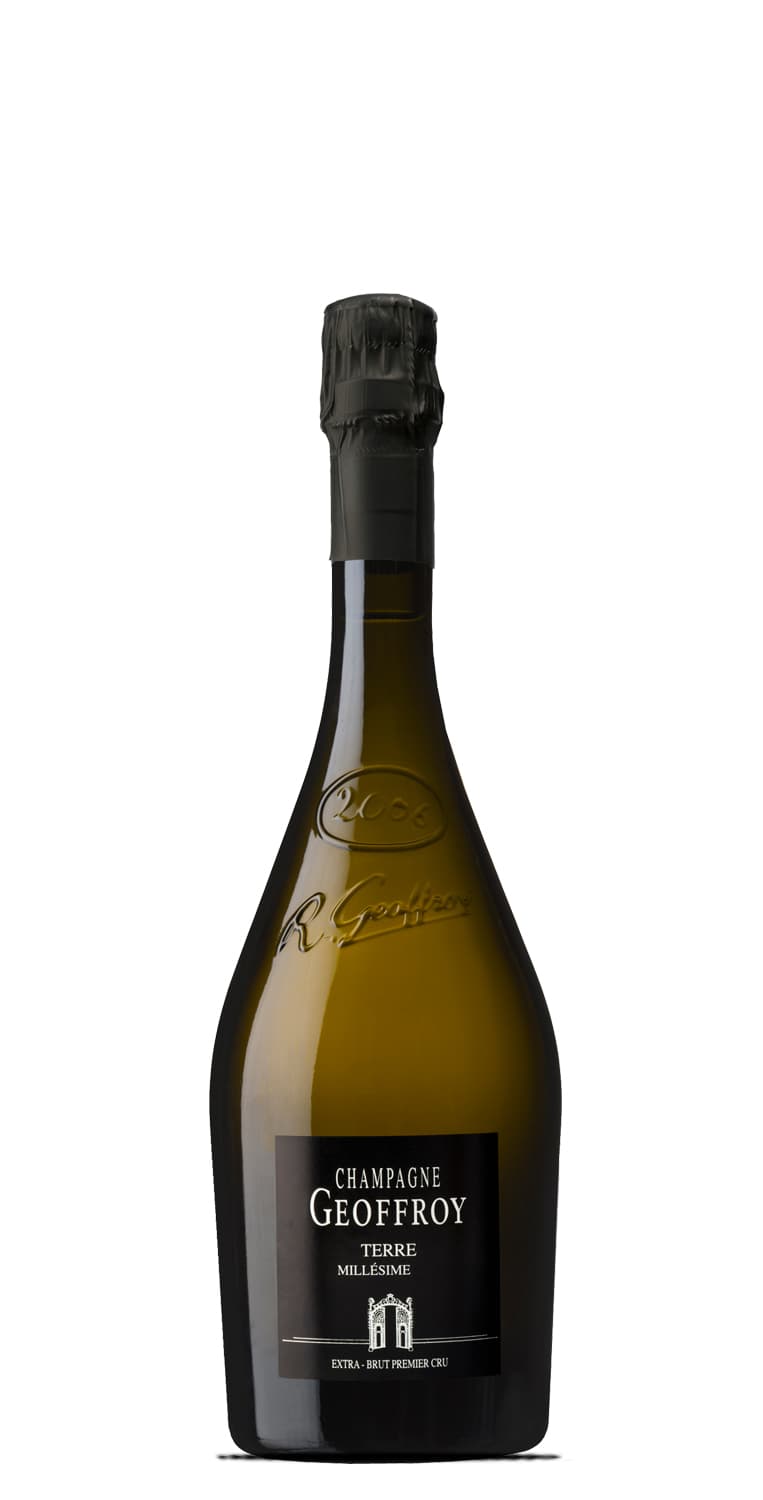 Champagne Geoffroy Premier Cru Terre Extra Brut de Vinoselección – comprar