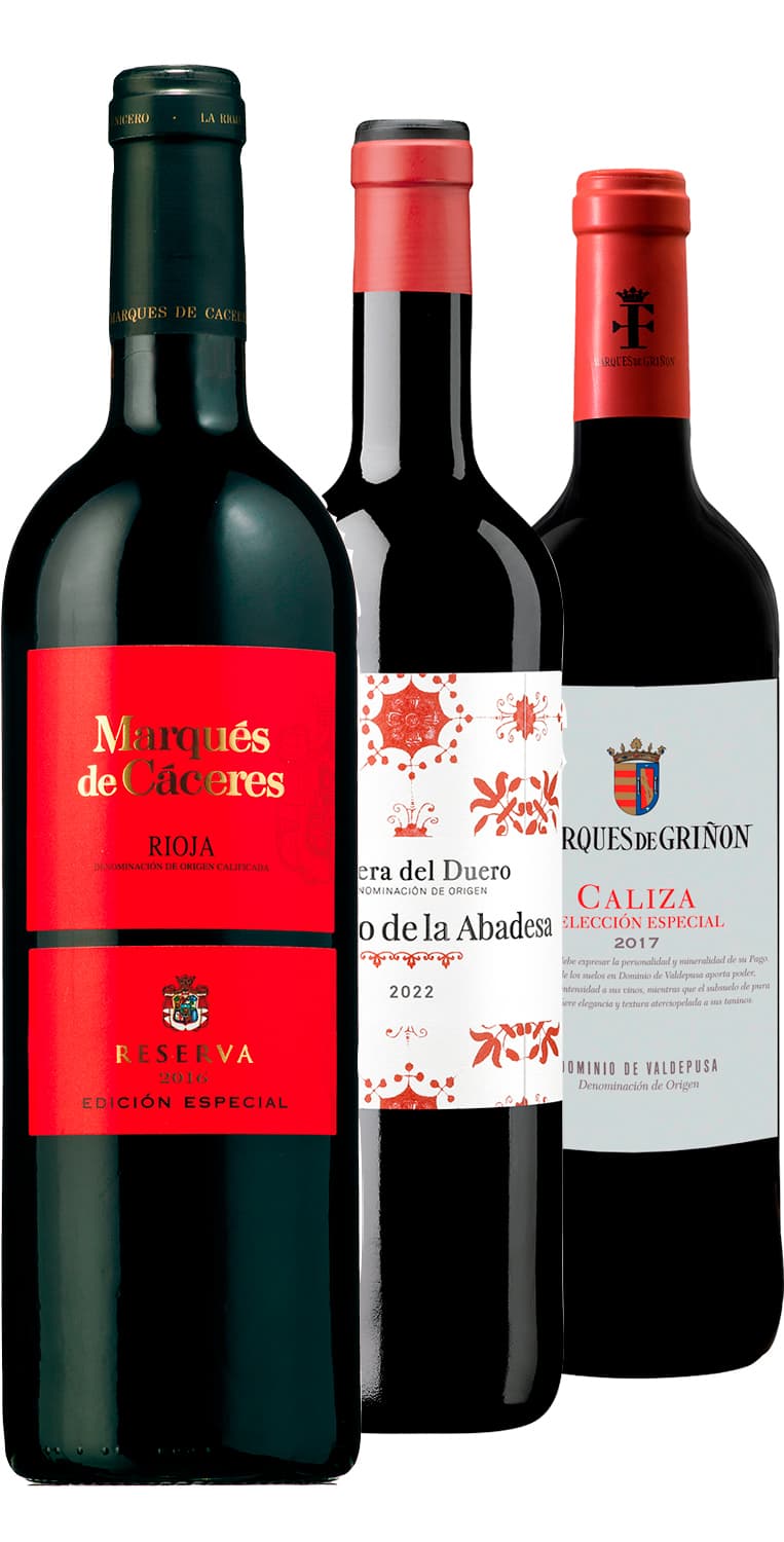 Panorámica vinícola SUMA – Otoño 2023 – de Vinoselección – en Vinoselección
