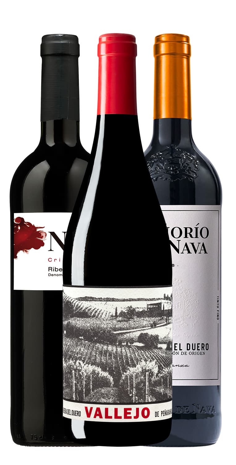Colección grandes vinos de Ribera del Duero – de Vinoselección – en Vinoselección
